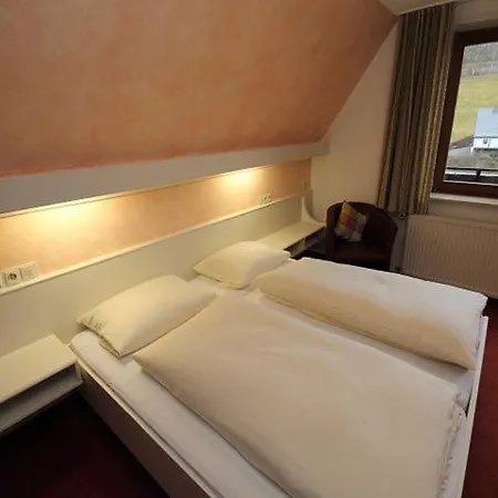 Hotel Bischof 3*