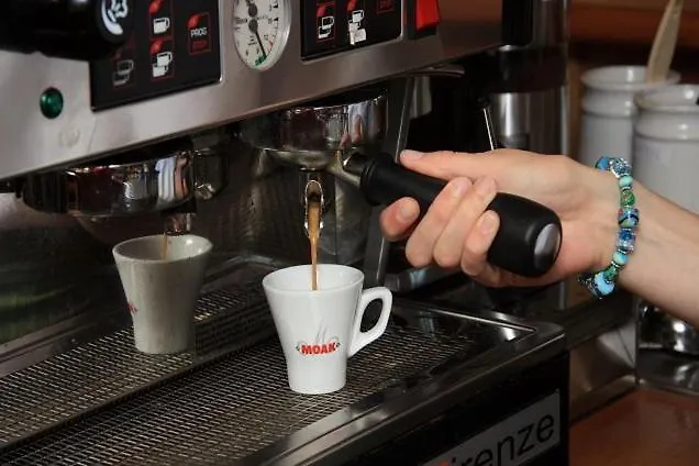 Bischof שמאלנברג